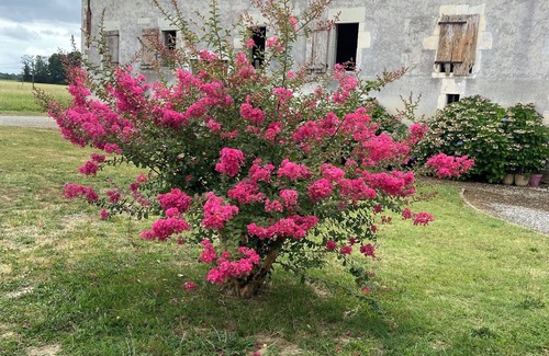 Hinx Maison | Gîte Charmant au Coeur de la Nature - Domaine Bordenave