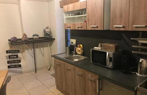 Flines-les-Mortagne Appartement | Gîte charmant avec climatisation, parking et terrasse privée près de Saint-Amand-les-Eaux - FR-1-510-147