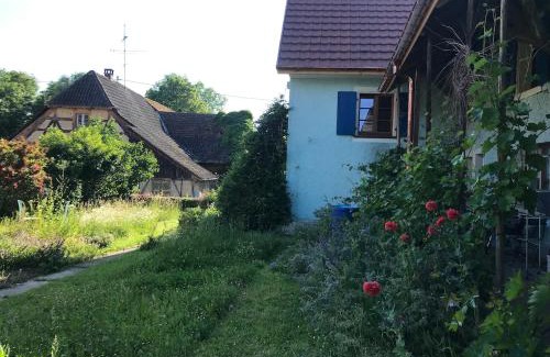 Oltingue Maison | Gîte Chez Antoinette