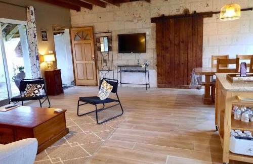 Brain-sur-Allonnes Maison | Gîte confortable près de Saumur : 2 chambres, jardin clos, terrasse, proche sites touristiques - FR-1-622-4