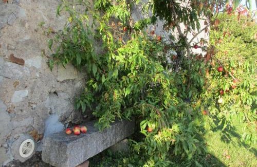 Guilly Maison | Gîte cosy en Val de Loire, proche Loire, Sologne, Sully/Loire - 1 ch, salon, cuisine, linge inclus - FR-1-590-30