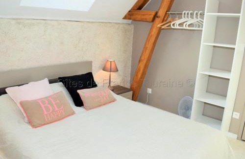 Bridore Maison | Gîte de charme avec Spa privatif en Touraine - proche châteaux, zoo, et balades pittoresques - FR-1-381-84