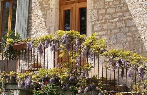 Lalbenque Maison | Gîte de Charme dans le Lot - 110m2 - Swimming pool and Jacuzzi - 6 pers