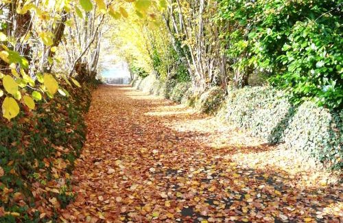 Coulans-sur-Gee Maison | Gîte de charme proche Le Mans avec jardin, parking, et bien-être - FR-1-410-205