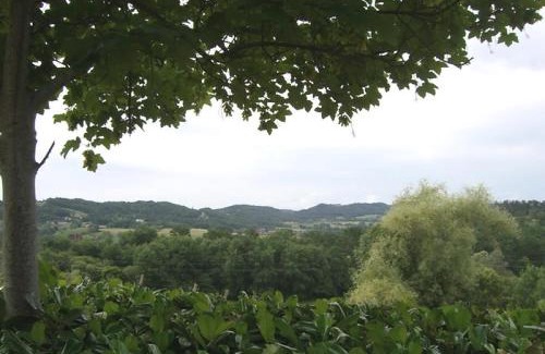 Puy-d'Arnac Appartement | Gîte de France à Puy-d'Arnac 3 épis - Gîte de France 4 personnes MAE-9864