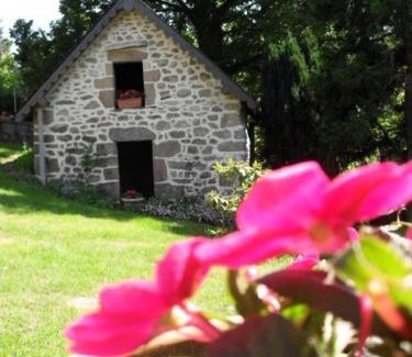 Saint-Yrieix-le-Dejalat Appartement | Gîte de France à Saint-Yrieix-le-Déjalat 3 épis - Gîte de France 4 personnes MAE-9234