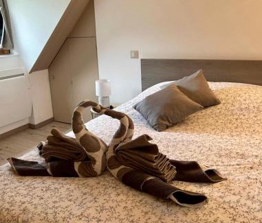 Mende Appartement | Gîte de Mende
