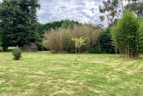 Maure-de-Bretagne Appartement | Gîte de Merlin l 'enchanteur