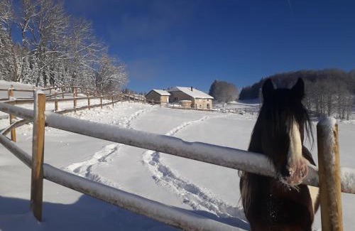 Lamoura Maison | Gîte des 3 Marches