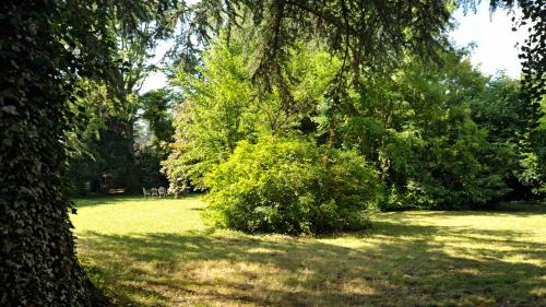 Cluny Appartement | Gîte des Charmilles/La Maison des Gardes