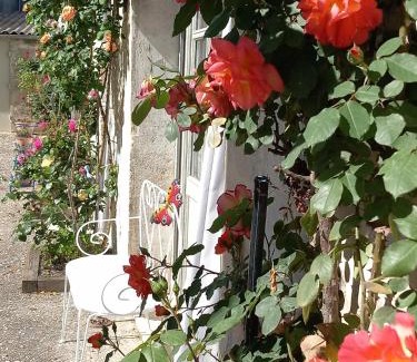 Prechac Maison | Gîte des oiseaux
