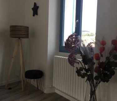 Aiguihe Appartement | Gîte du rocher