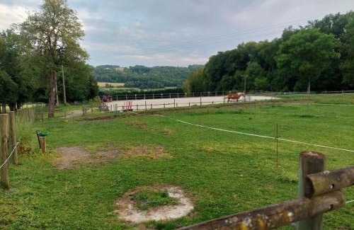 Sablonnieres Appartement | Gîte et chevaux