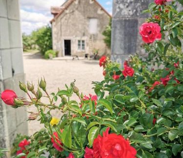 Drache Maison | Gîte grande capacité en Touraine