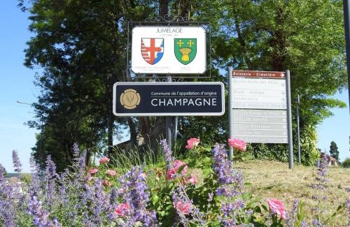 Colombey-les-deux-Eglises Maison | Gîte indépendant avec SPA, jardin, terrain de pétanque, proche vignoble du Champagne à Colombey - FR-1-611-45