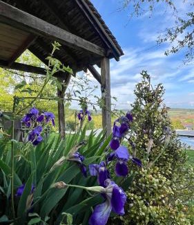 Martel Maison | Gîte La Blanchie Haute
