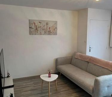 Orchies Appartement | Gîte la perle rose 50 m²