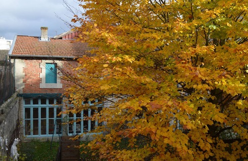 Joinville Maison | Gîte La Rose Trémière - Maison Avec Terrasse, Idéale Pour un Séjour en Famille