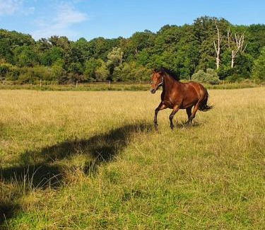 Journet Maison | Gîte Le Bois Clairet