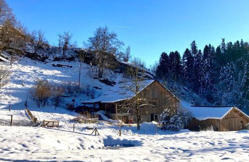 Vennes Appartement | Gîte le creux de vennes