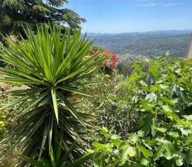 Saint-Cezaire-sur-Siagne Appartement | Gîte Le Figuier de Saint Ce Jardinet Terrasse Vue