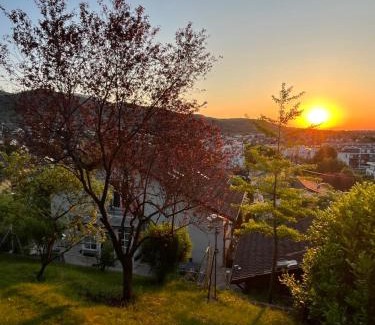 Thann Maison | Gîte les Rosiers du Blosen