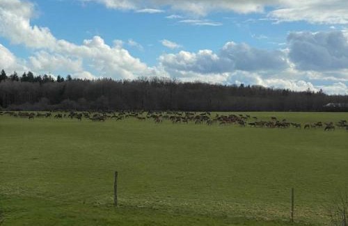 La Trinite-des-Laitiers Maison | Gîte paisible en Normandie avec WiFi, animaux admis - FR-1-497-227