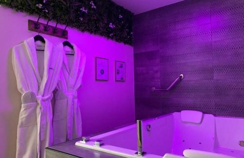 Brain-sur-Longuenee Appartement | Gîte Romantique La Parenthèse Angevine Love&spa