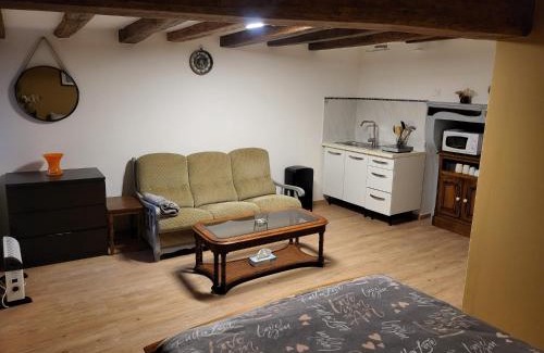 Bar-sur-Aube Appartement | Gîte Studio Alex 3 Masson de Morfontaine rez de chaussé