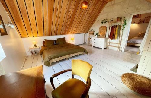 Candes-Saint-Martin Maison | Gîte XIXè de charme à Candes-St-Martin avec jardin clos - FR-1-381-612