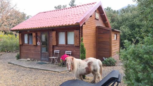Termes Maison | Gîtes à la Ferme - Hautes-Corbières