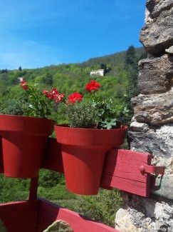 Mars Maison | Gîtes chez Daniel "Cevennes 2"