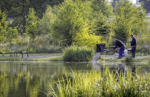 Momignies Maison | Gîtes pêche - à la ferme - "Rêve d'Eau" aux Etangs de Cendron En-Fr-Es