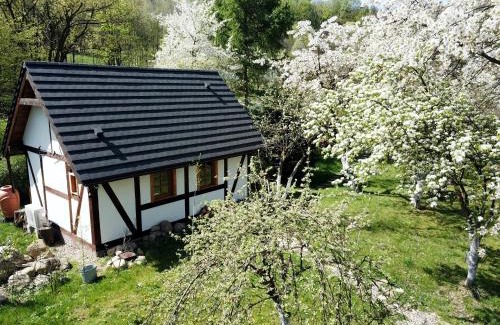 Piechowice Chalet De Ski | Górski Sad - Bazylia