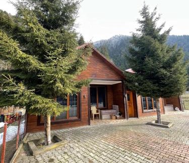 Uzungol Appartement | Gölevi bungalov uzungöl