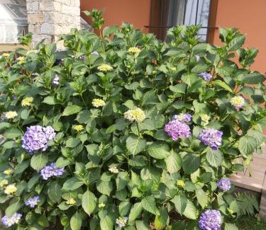 Nonio Appartement | G&G1 Appartamento con giardino privato