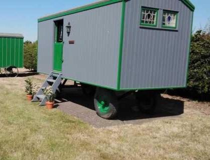 Northrepps Autre | Galahad - Shepherd's Hut