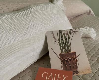 Huajuapan Hôtel | Galex Hotel Posada