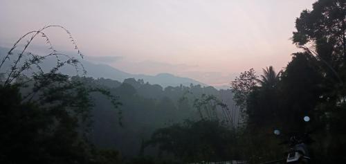 Udunuwara Appartement | Galkotuwa Estate