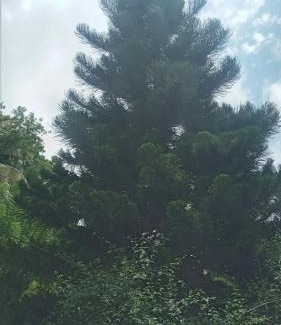 Udunuwara Appartement | Galkotuwa Estate