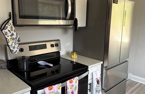 Parma Maison | Game On Parma with WiFi, AC and Game Room Family and Pet Friendly