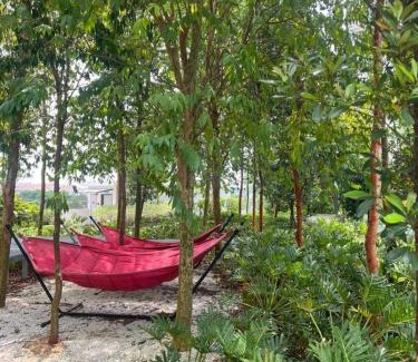 Rawang Appartement | Gamuda Skyline Luge Mus Lim Homestay
