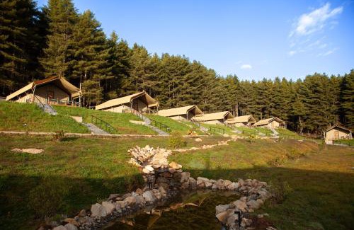 Phobjikha Valley Station Balnéaire | Gangtey Tent Resort
