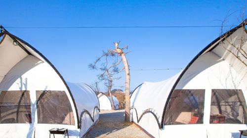 Seorak Maison | Gapyeong The Camp Caravan Glamping