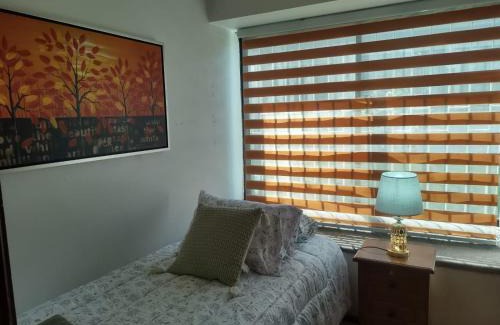 Osorno Appartement | Garcia hurtado departamento diario