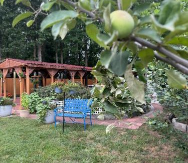 Montclair Maison | Garden Hallow