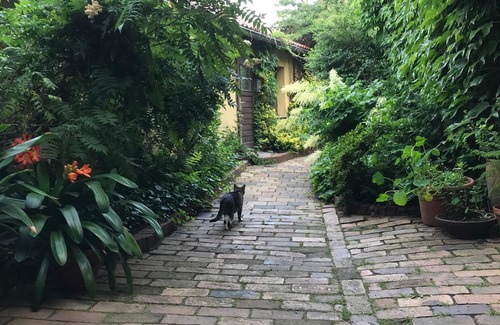 Lubbenau/Spreewald Maison | Maison de jardin dans le concombre de Lübbenau
