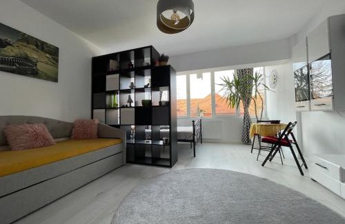Petrosani Appartement | Garsonieră Ultracentrală Petroșani Valea Jiului