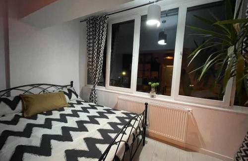 Petrosani Appartement | Garsonieră Ultracentrală Petroșani Valea Jiului