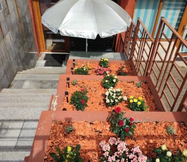 Cluj-Napoca Appartement | Garsoniera Alex
